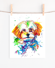 Load image into Gallery viewer, MaltiPoo Pup - Watercolor Print
