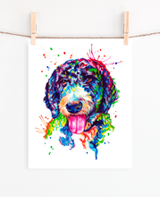Load image into Gallery viewer, BerneDoodle - Watercolor Print
